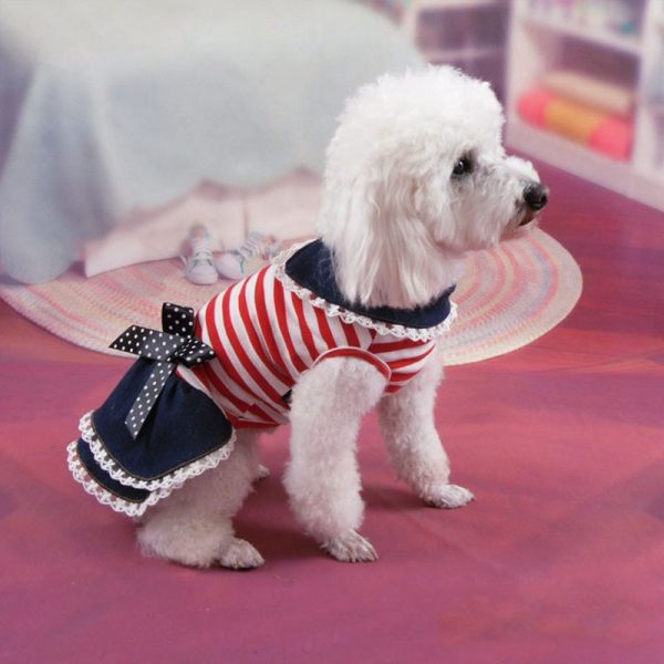 small dog dresses