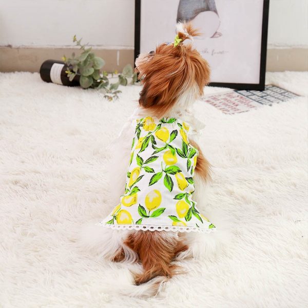 girls puppy dress