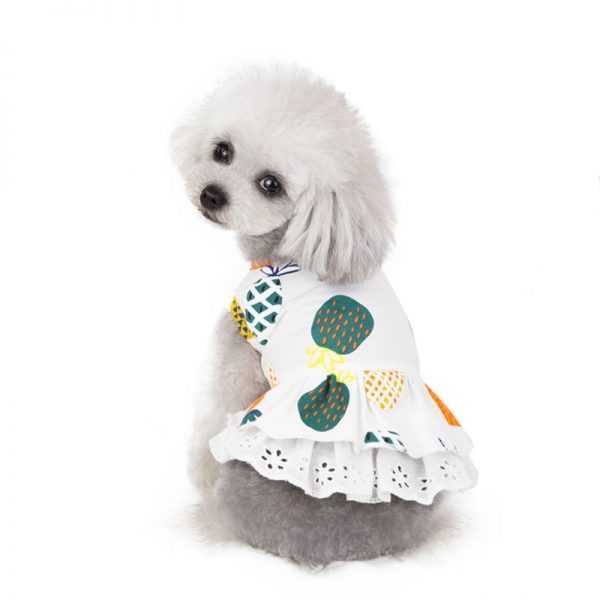 puppy dresses