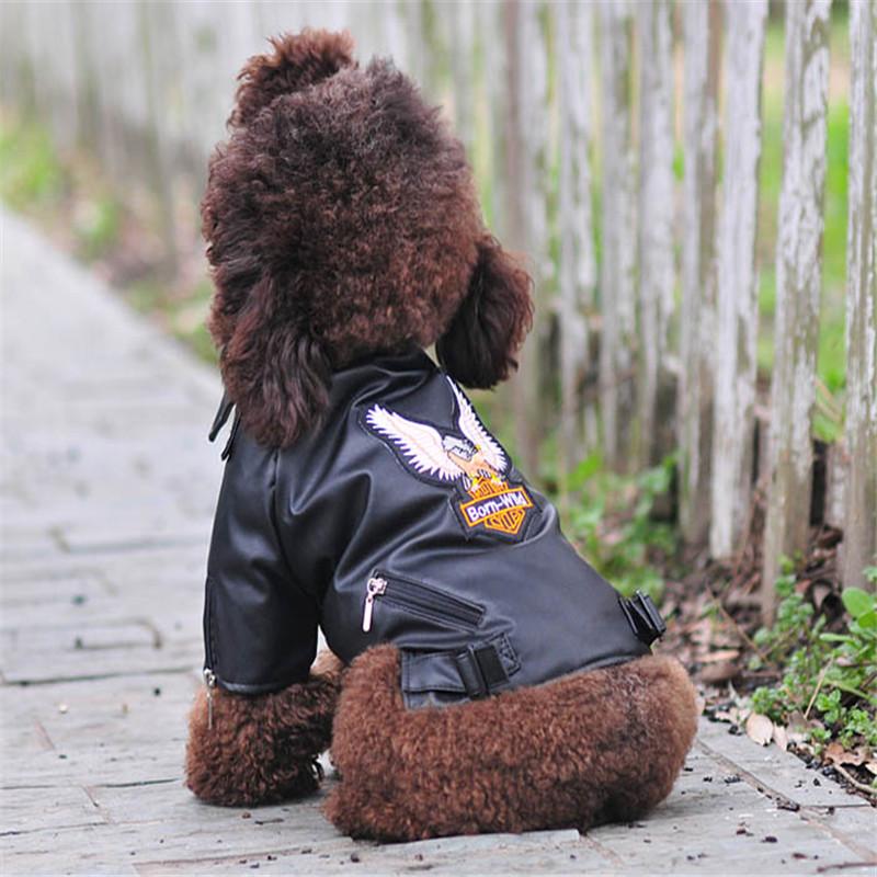 Boy Dog Clothes for Small Breeds⋆Free Shipping ⋆ The Furry Shop