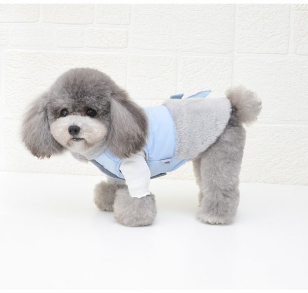 dog coat for winter
