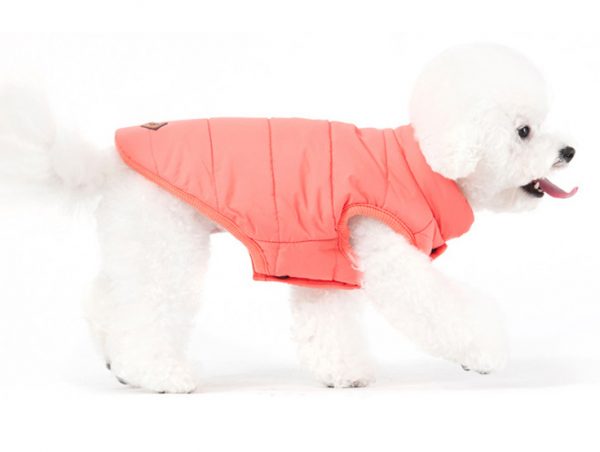 dog winter coat