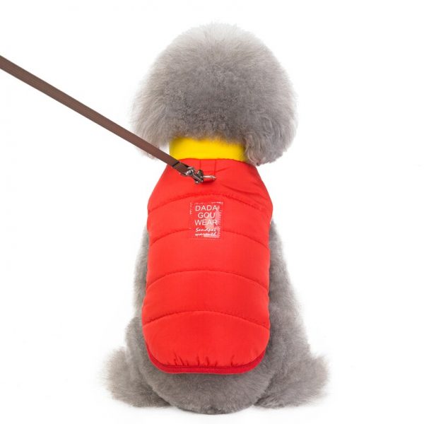 waterproof dog jacket