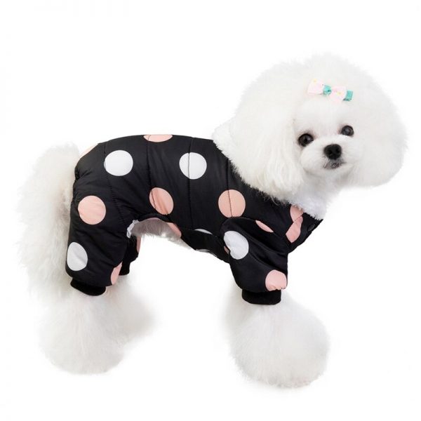 Dog Coats for Small Dogs