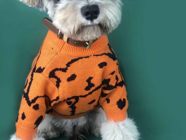 dog sweaters for small dogs